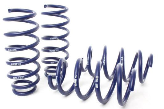 H&R Sport Lowering Springs - 2018-2023 Tesla Model 3 (Standard Range & RWD)